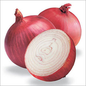 Red Onion Red Onion