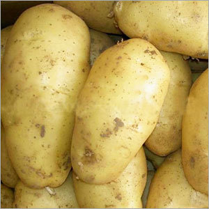 Sugar Free Potatoes Sugar Free Potatoes