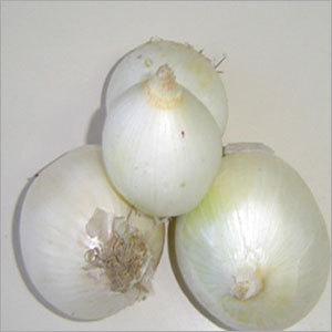 White Onion White Onion