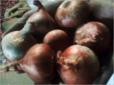 Fresh Indian Yellow Onion Fresh Indian Yellow Onion