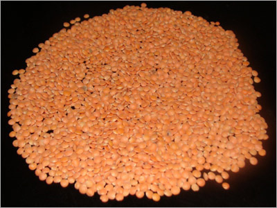 Yellow Pulses Yellow Pulses