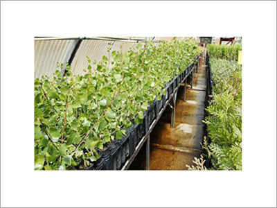 Nursery Product Nursery Product