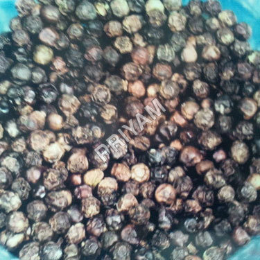 Black Pepper Black Pepper