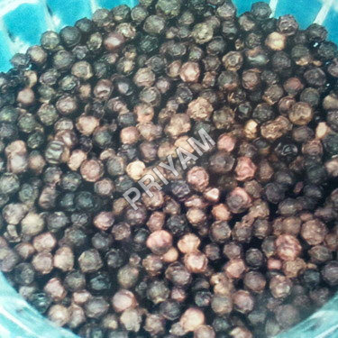 Bold Black Pepper Bold Black Pepper