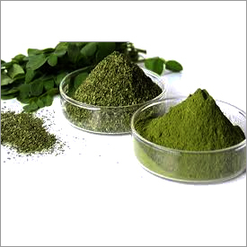Moringa Powder Moringa Powder
