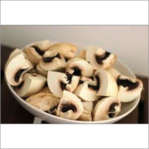 Mushroom Mushroom