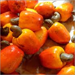 Fresh Cashew Nut Fresh Cashew Nut