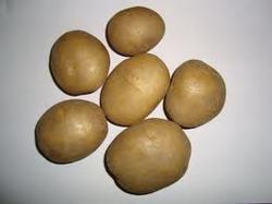 Frozen Potato Frozen Potato