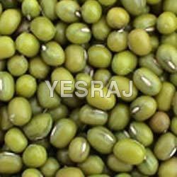 green-moong-beans green-moong-beans
