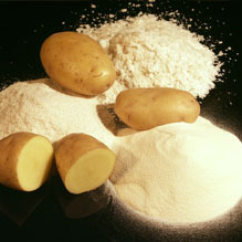 Potato Powder Potato Powder