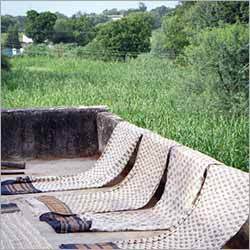Silk Cotton Sarees Silk Cotton Sarees