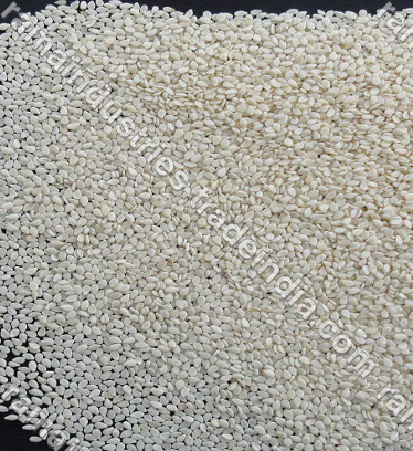 Sesame Seed Sesame Seed