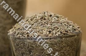 Cumin Seed Cumin Seed