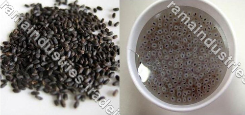 Basil Seed Basil Seed