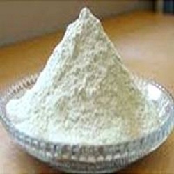 Onion Spray Dried Powder Onion Spray Dried Powder