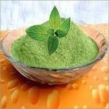 Mint-Spray-Dried-Powder Mint-Spray-Dried-Powder