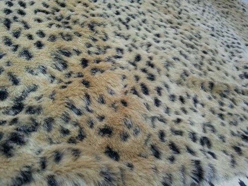 fur fabric 11 fur fabric 11