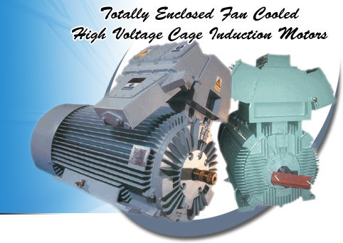 Induction Electric Motor Induction Electric Motor