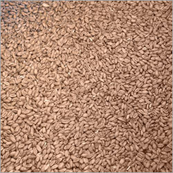 Chicken Feed Chicken Feed