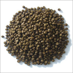 Fish Feed Fish Feed