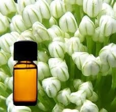 Egyptian Jasmine Diffuser Egyptian Jasmine Diffuser
