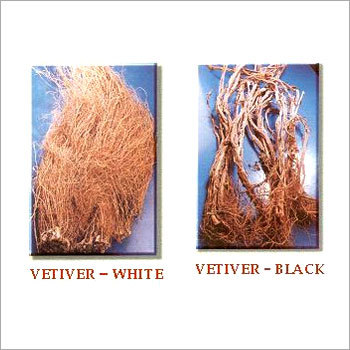 Vetiver Herb Products Vetiver Herb Products
