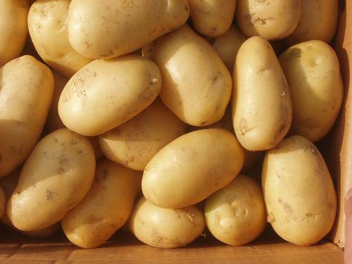 Fresh Potatoes Fresh Potatoes