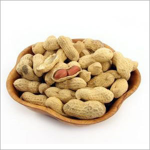 Fresh Peanuts Fresh Peanuts