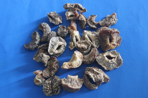 Emblica Officinalis Fruit Emblica Officinalis Fruit