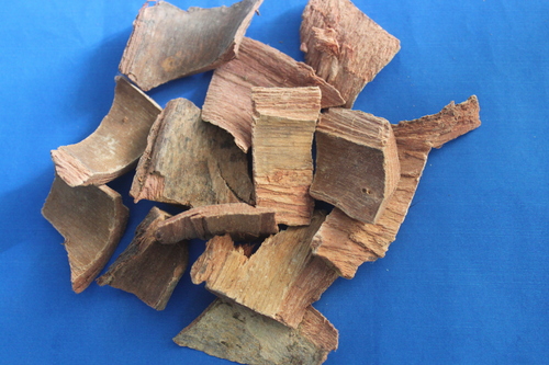 Terminalia Arjuna Bark Extract Terminalia Arjuna Bark Extract