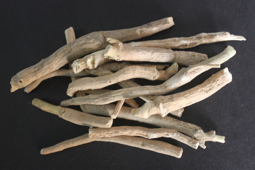Withania Somnifera Roots Withania Somnifera Roots
