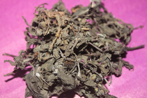 Eclipta Alba Herb Eclipta Alba Herb