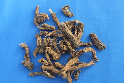 Coleus forskohlii Roots Extract Coleus forskohlii Roots Extract