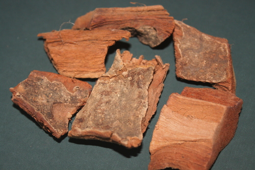 Ficus Gromerata Bark Ficus Gromerata Bark