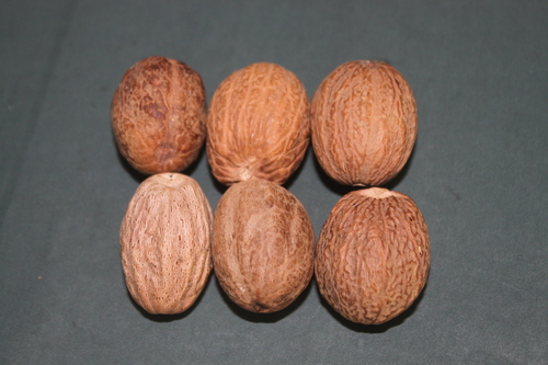 Myristica Fragrans Extract Myristica Fragrans Extract