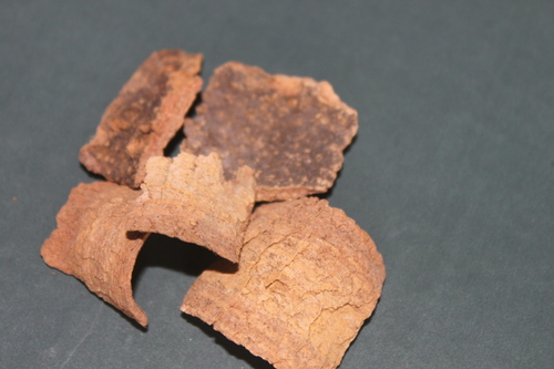 Holarrhena Antidysentrica Bark Holarrhena Antidysentrica Bark