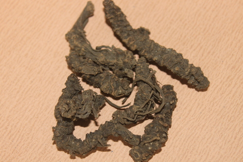 Valerian Wallachi Roots Extract Valerian Wallachi Roots Extract