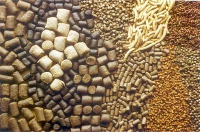 Cattle Feed Cattle Feed