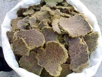 Cotton Seed Cake Cotton Seed Cake