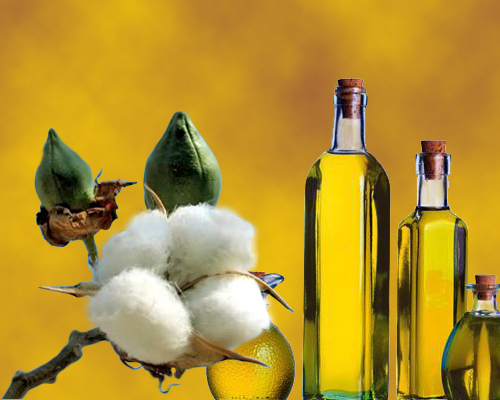 Cotton Seed Oil Cotton Seed Oil