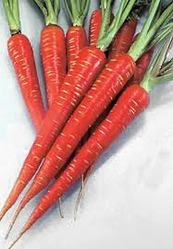 Desi Red Carrot Seeds Desi Red Carrot Seeds