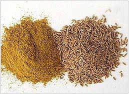 Cumin Powder Cumin Powder