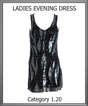 Ladies Evening Dress Ladies Evening Dress