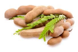 Fresh Tamarind Fresh Tamarind