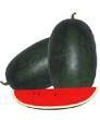 Watermelon Hybrid Seeds Watermelon Hybrid Seeds
