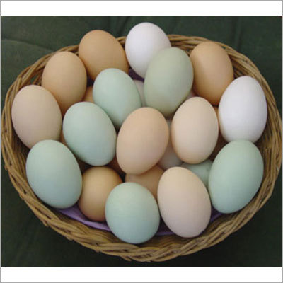 Eggs Eggs