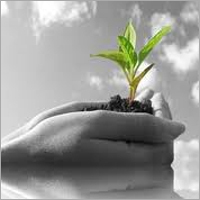Agricultural Chemicals Agricultural Chemicals