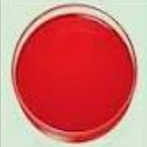 Oil Red Pigment Oil Red Pigment