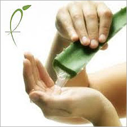 Aloe Vera Thick Gel Aloe Vera Thick Gel