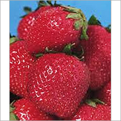 Natural Strawberry Color Natural Strawberry Color